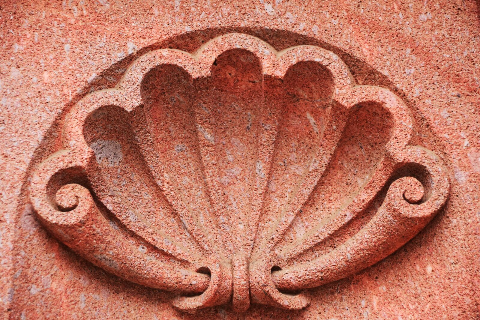 Nikon D3300 sample photo. Shell, facade, structure photography