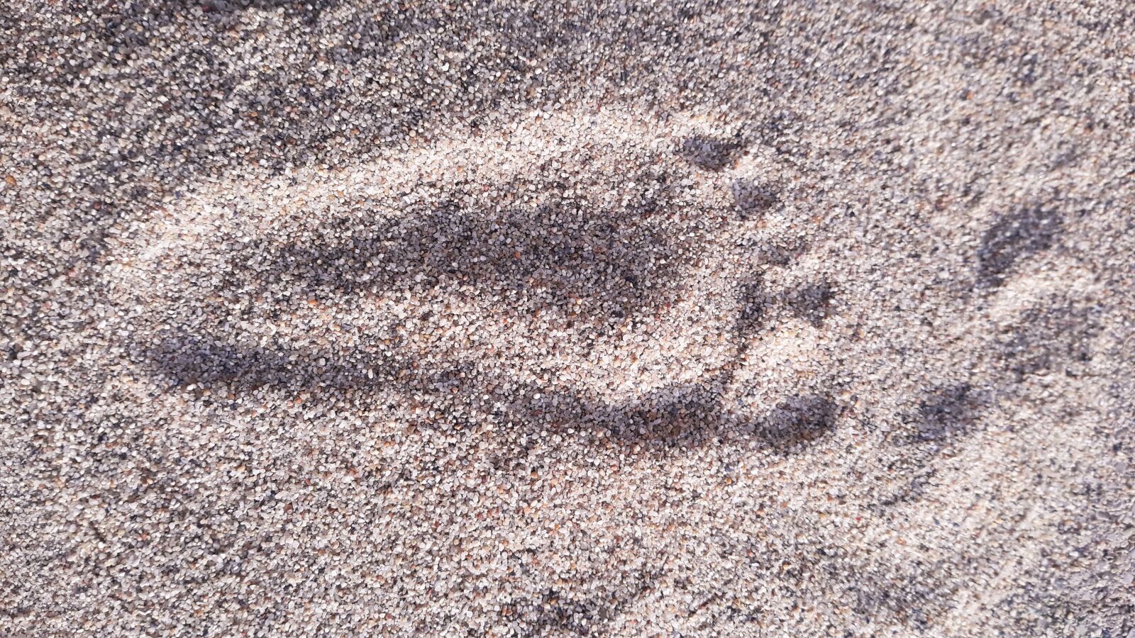 Samsung Galaxy J5 sample photo. Footprint in the sand photography