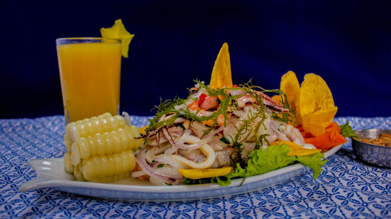Canon EOS 600D (Rebel EOS T3i / EOS Kiss X5) sample photo. Food, ceviche, peru photography
