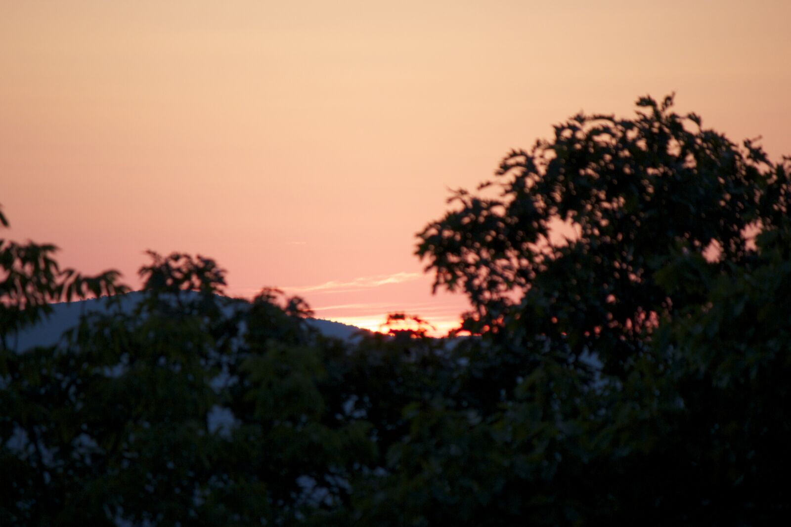 Canon EOS 550D (EOS Rebel T2i / EOS Kiss X4) sample photo. Sky, summer, sunset, trees photography
