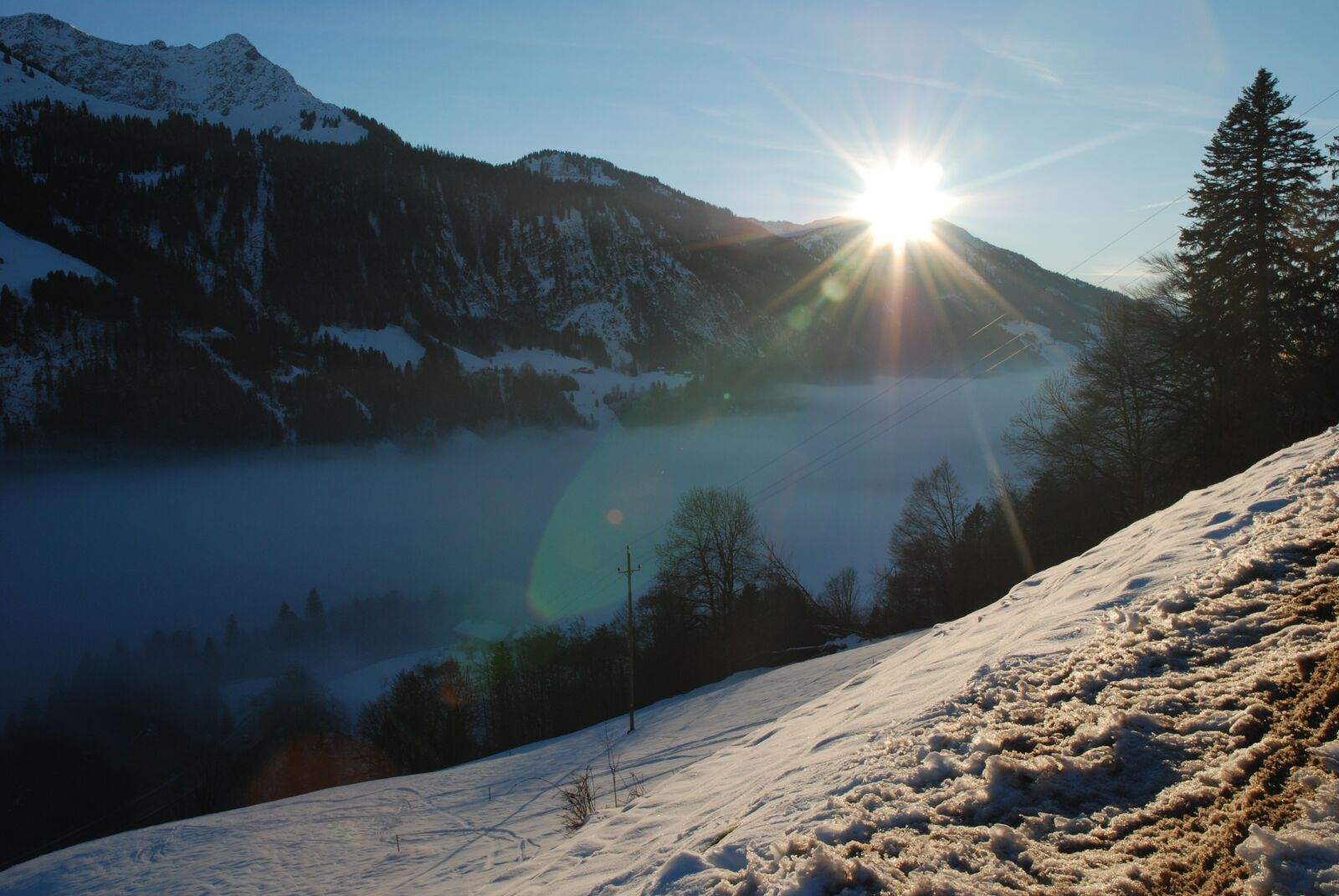 Nikon D80 sample photo. Fog, sun, snow photography
