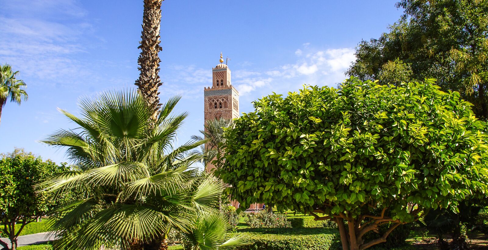 Sony SLT-A77 sample photo. Marrakech, morocco, arabic photography
