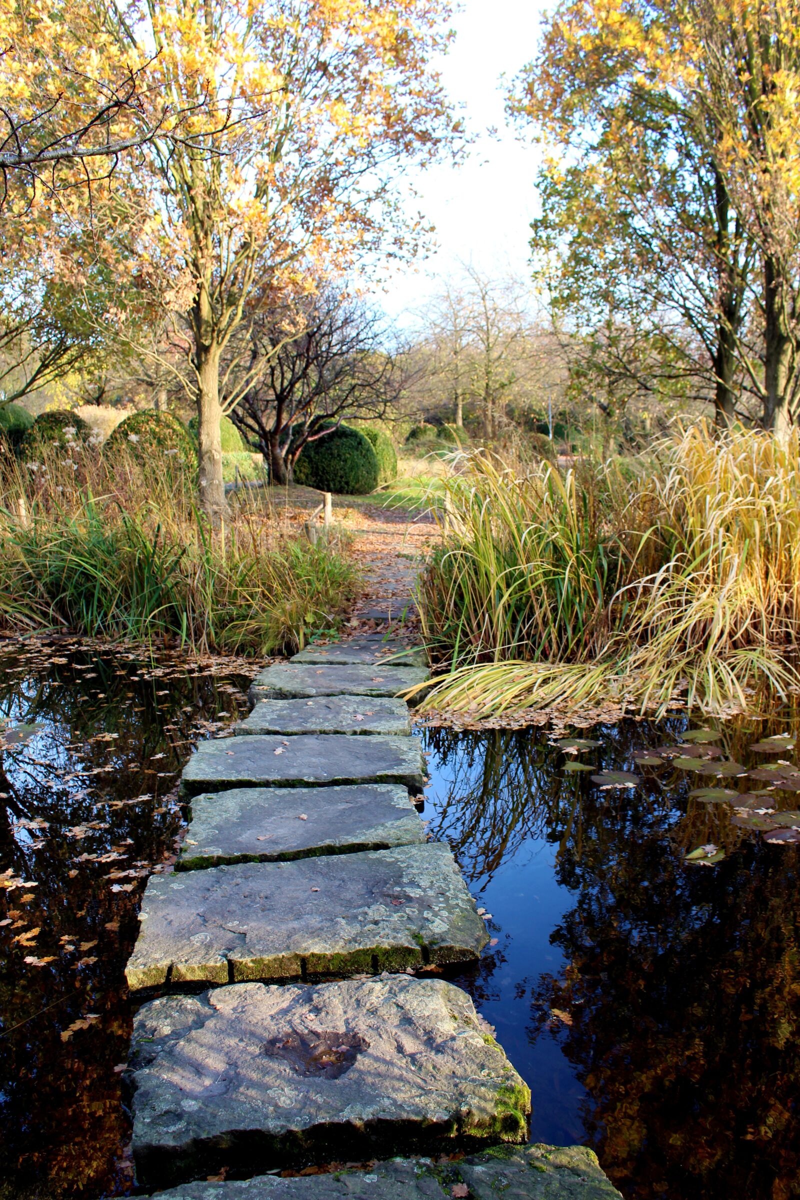 Canon EOS 700D (EOS Rebel T5i / EOS Kiss X7i) sample photo. Pond, away, landscape photography