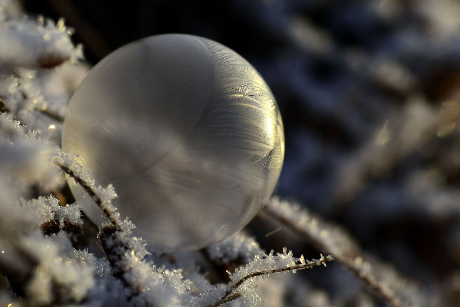 Nikon D3300 sample photo. Bubble, soap bubble, frozen photography