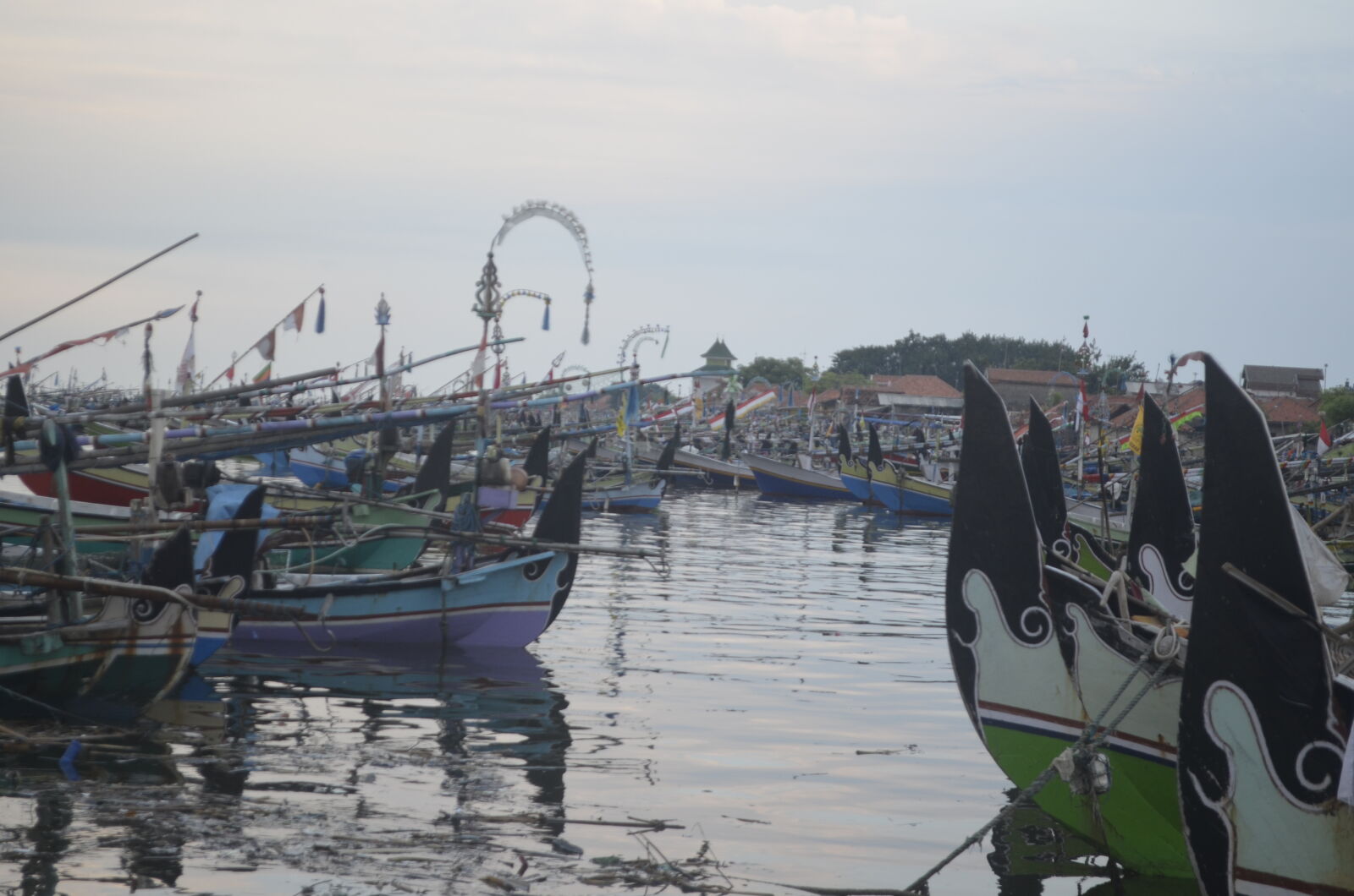Nikon D5100 sample photo