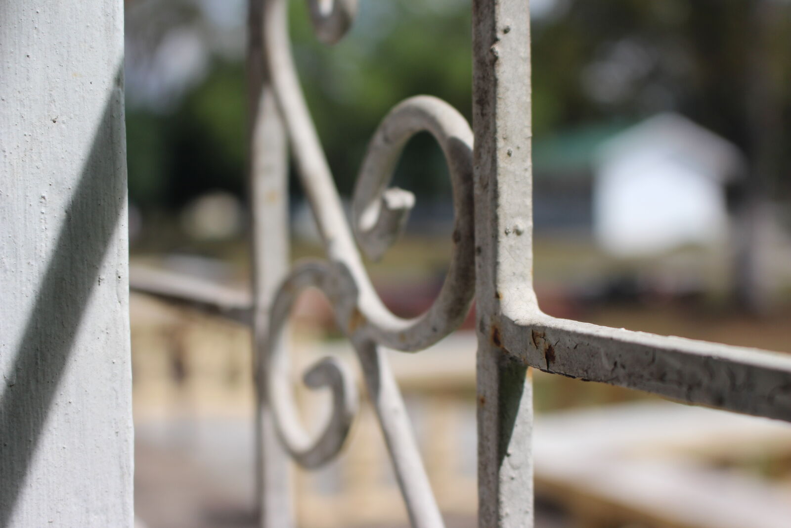 Canon EOS 700D (EOS Rebel T5i / EOS Kiss X7i) sample photo