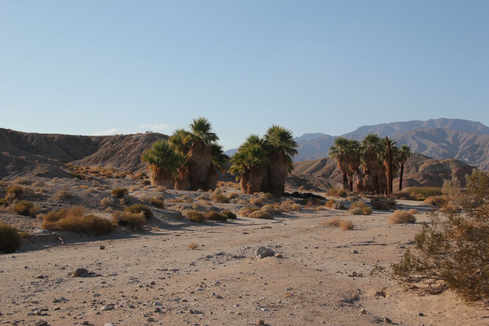 Canon EOS 550D (EOS Rebel T2i / EOS Kiss X4) sample photo. Anza borrego, desert, california photography