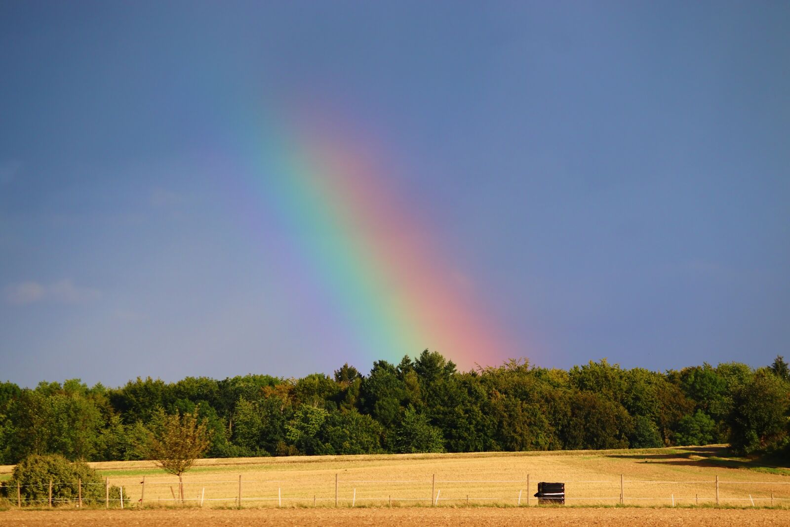 Canon EOS 200D (EOS Rebel SL2 / EOS Kiss X9) sample photo. Rainbow, forest, field photography