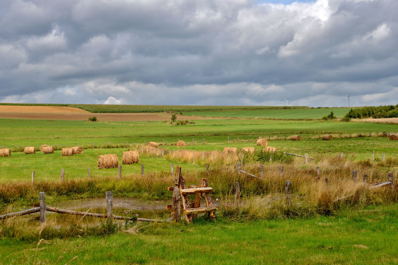 Nikon D600 sample photo. Landscape, pasture, pound sign photography