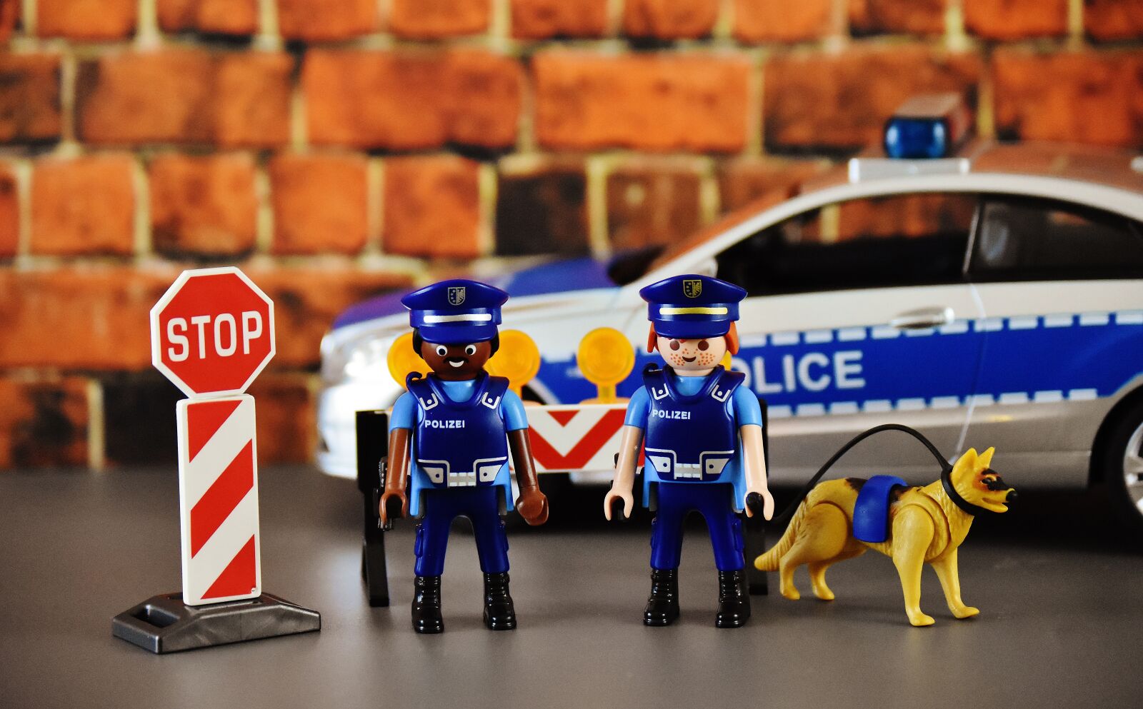 Nikon D7200 sample photo. Police, control, lock photography