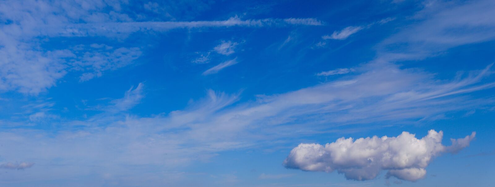 Panasonic DMC-G70 sample photo. Nature, sky, summer photography
