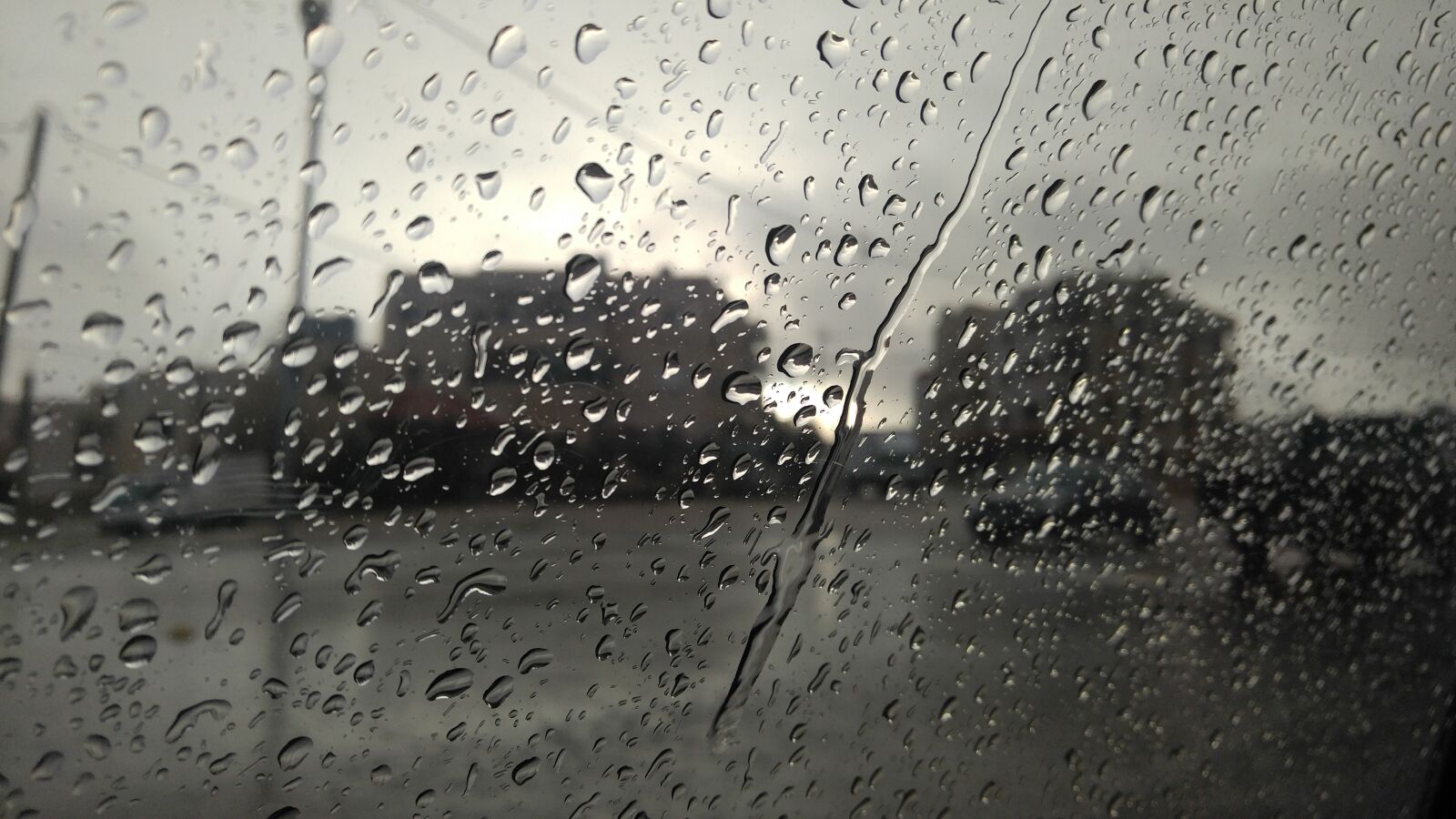 LG V10 sample photo. Rain, drop, wet photography