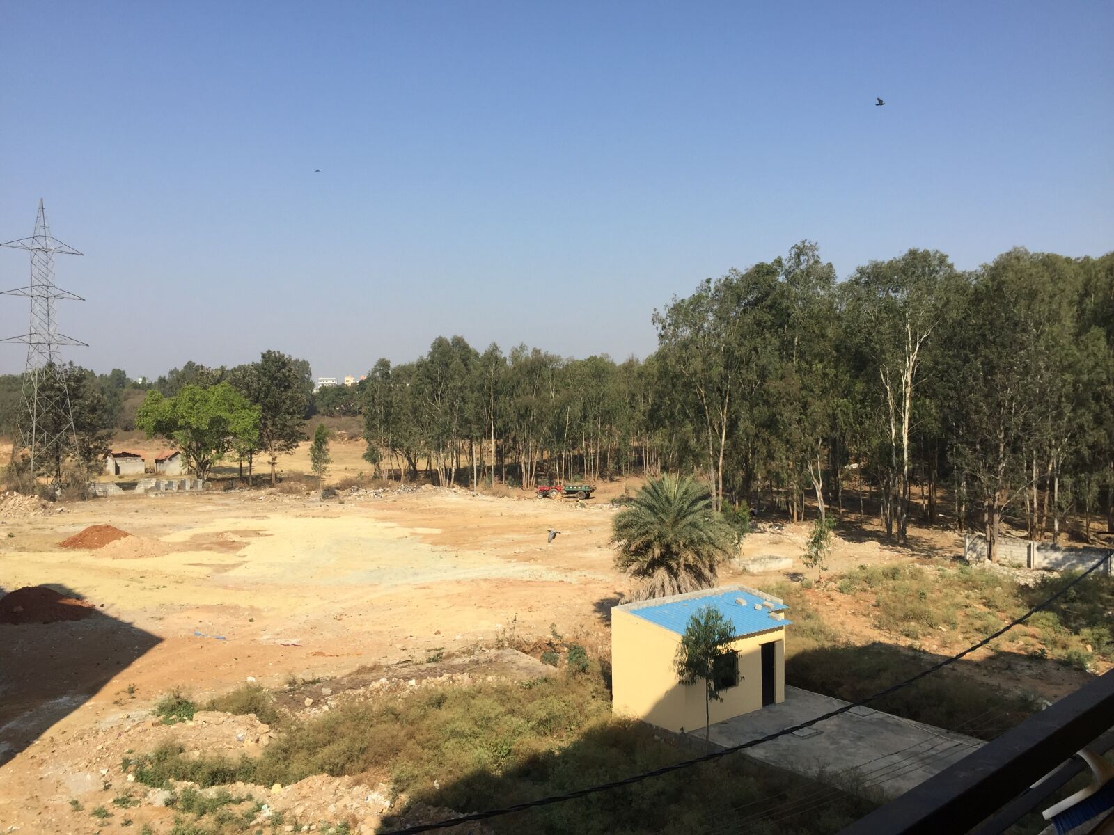 Apple iPhone 6 sample photo. Field, sunny, day photography