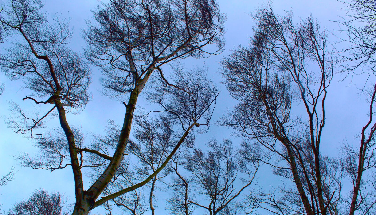Canon EOS 4000D (EOS Rebel T100 / EOS 3000D) sample photo. Landscape, view, nature photography