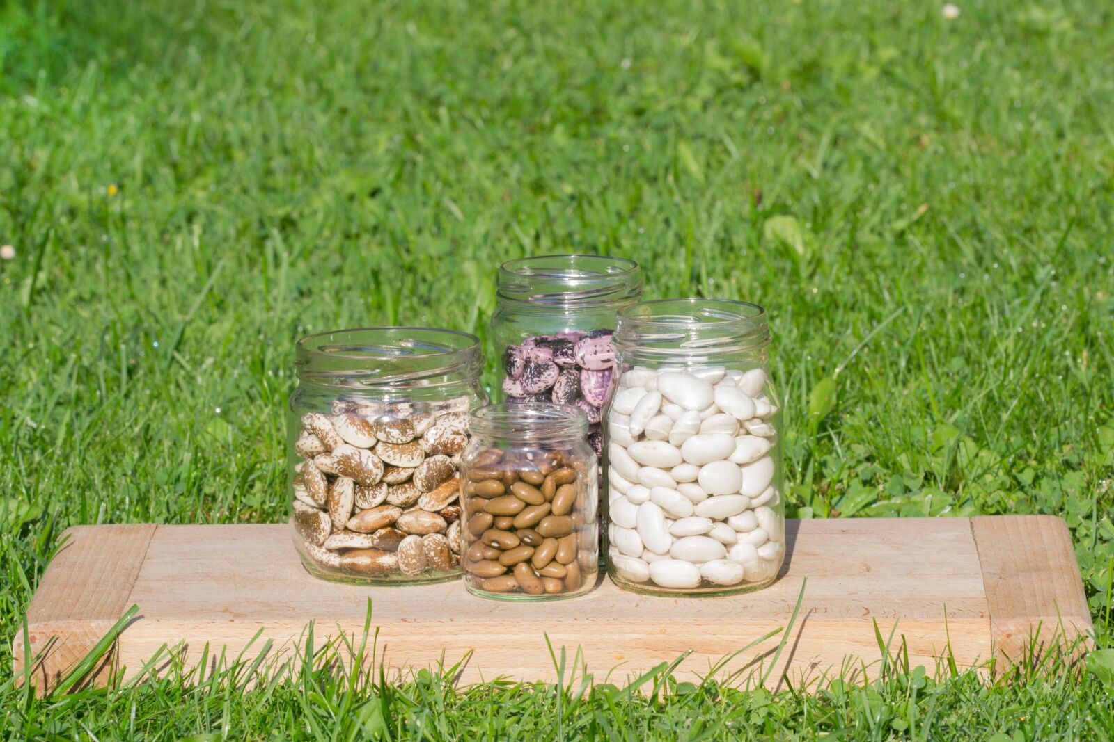 Nikon D3100 sample photo. Color, beans, a bottle photography