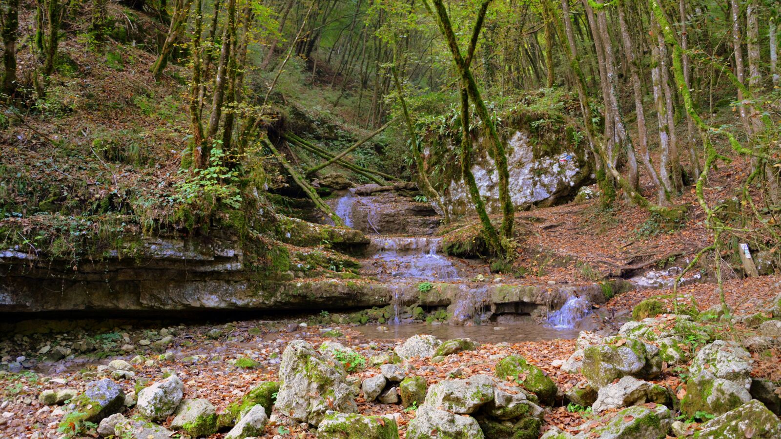 Nikon D7100 sample photo. Waterfall, forest, torrent photography
