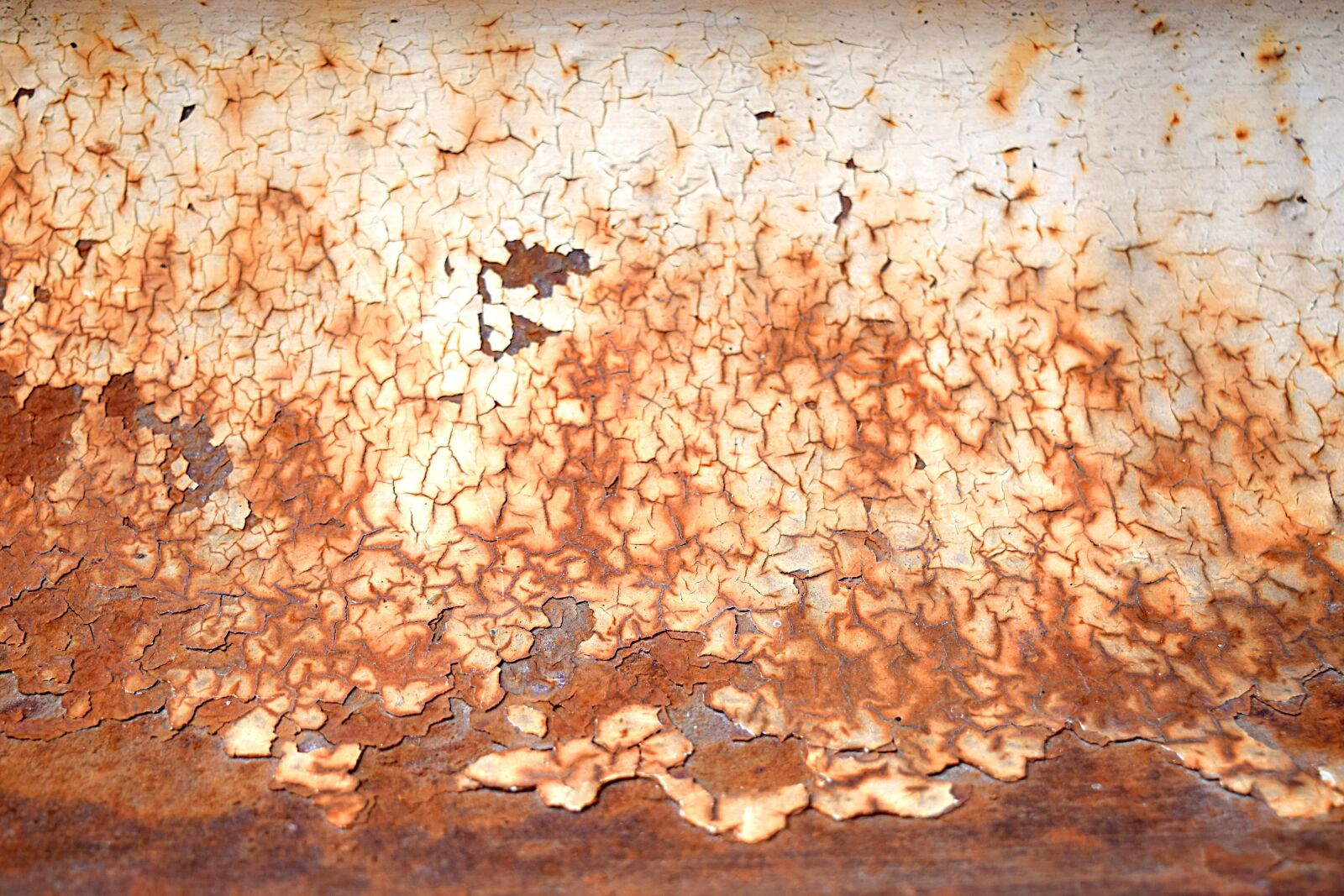 Nikon D3300 sample photo. Rust, colorful, texture photography