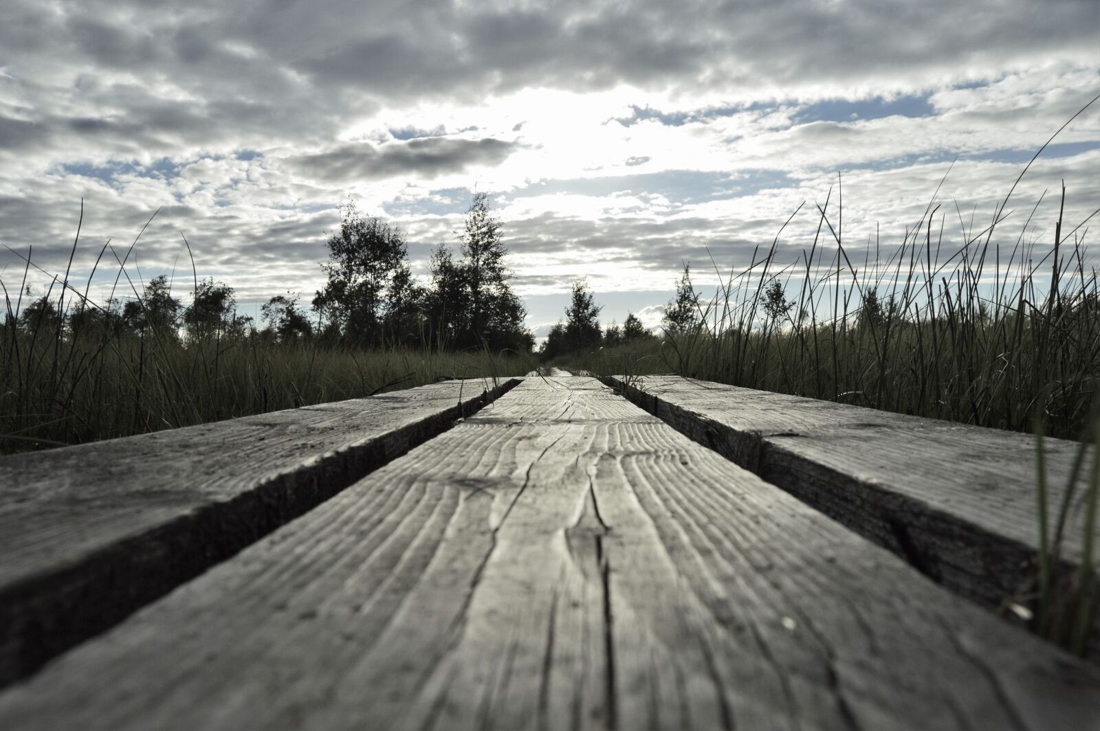 Nikon D3200 sample photo. Clouds, evening, forest, landscape photography