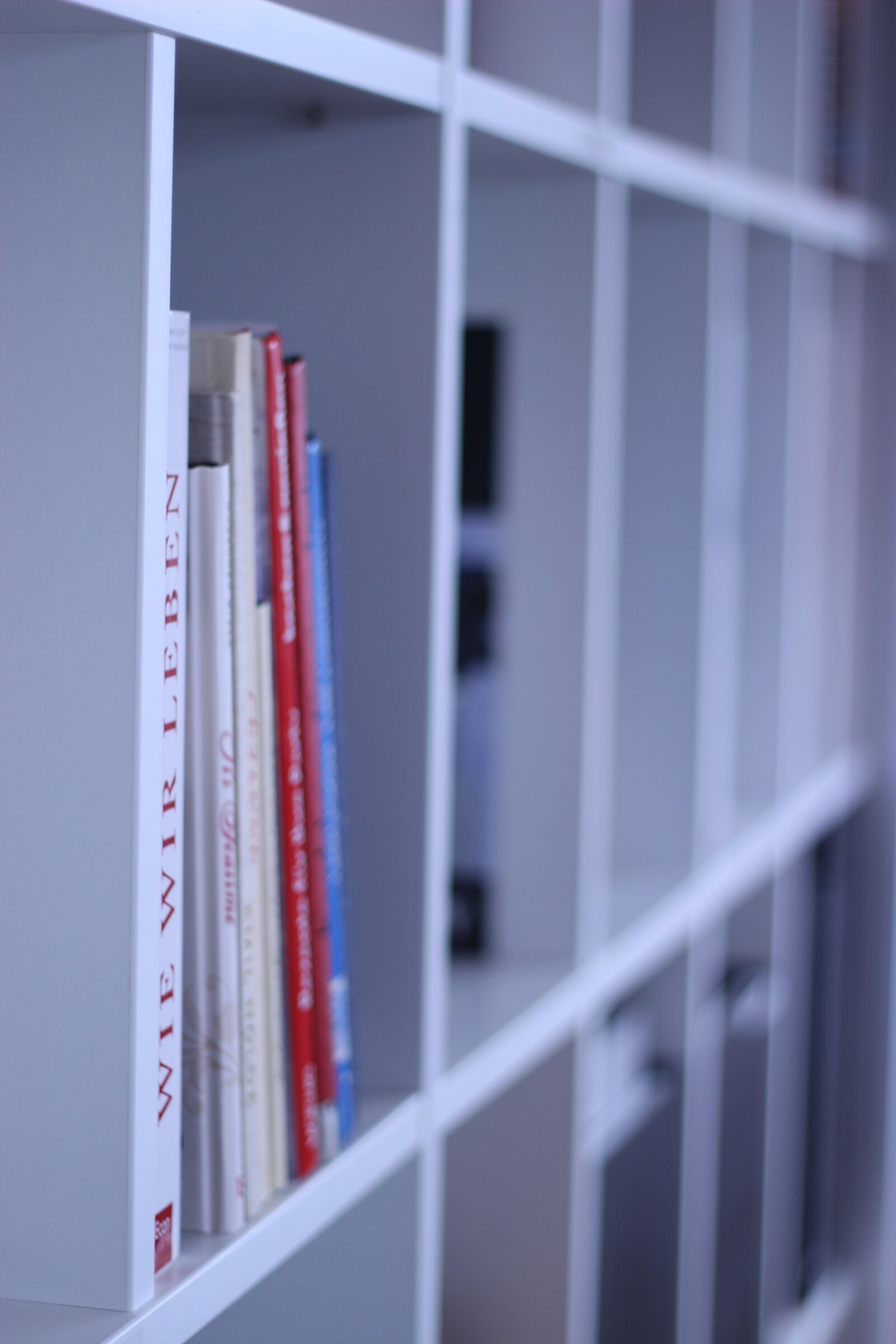 Canon EOS 600D (Rebel EOS T3i / EOS Kiss X5) + Canon EF 50mm F1.8 II sample photo. Shelf, white, living world photography