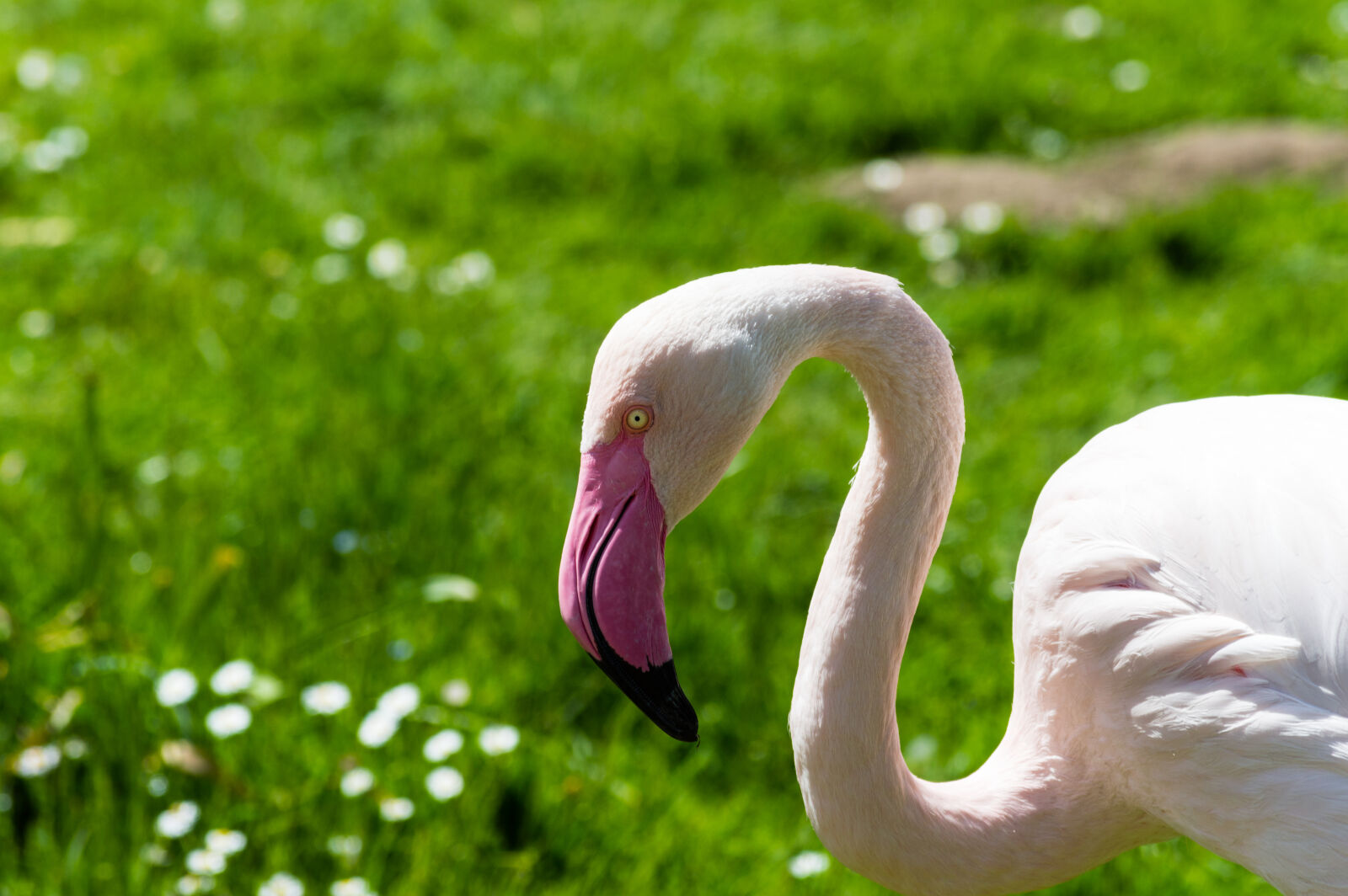 Nikon D3200 sample photo