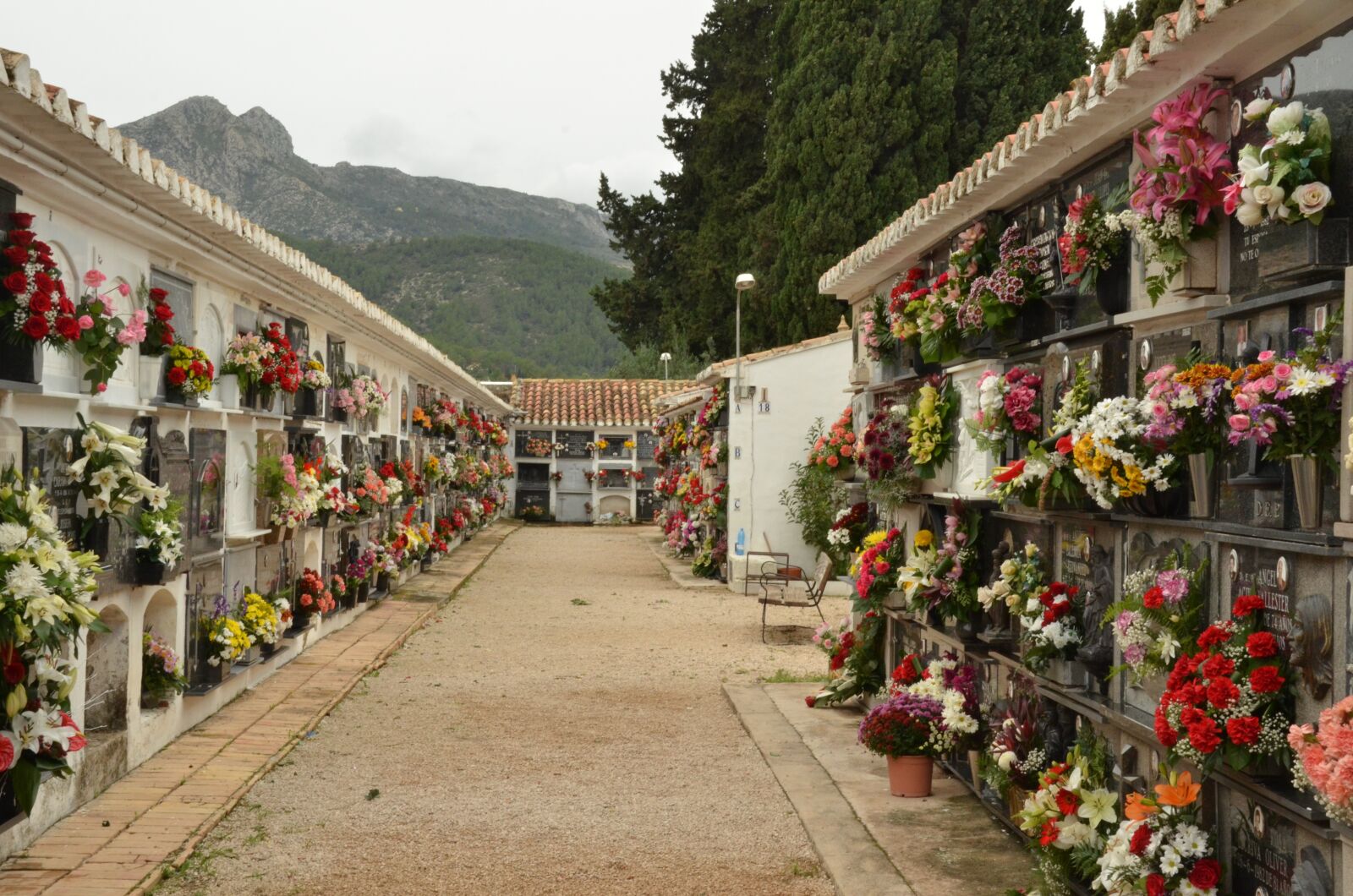Nikon D7000 sample photo. Cemetery, grave, wall photography