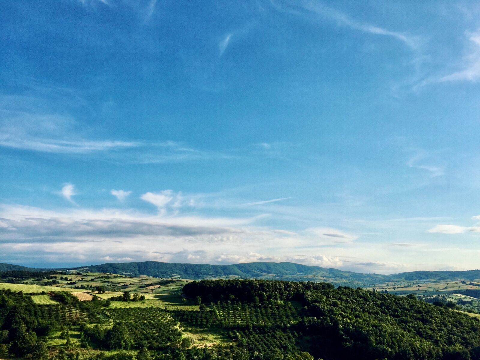 iPhone 6 back camera 4.15mm f/2.2 sample photo. Blue, blue, sky, cloud photography