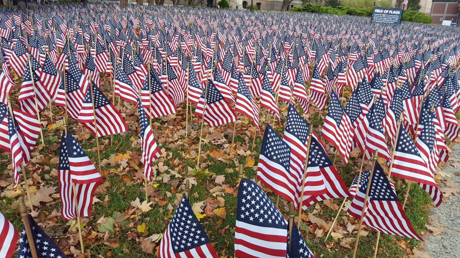 Samsung Galaxy S6 sample photo. Patriotism, stripe, flag photography