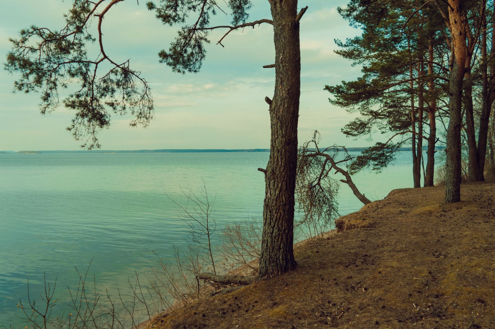 Nikon D3200 sample photo. Forest, breakage, landscape photography