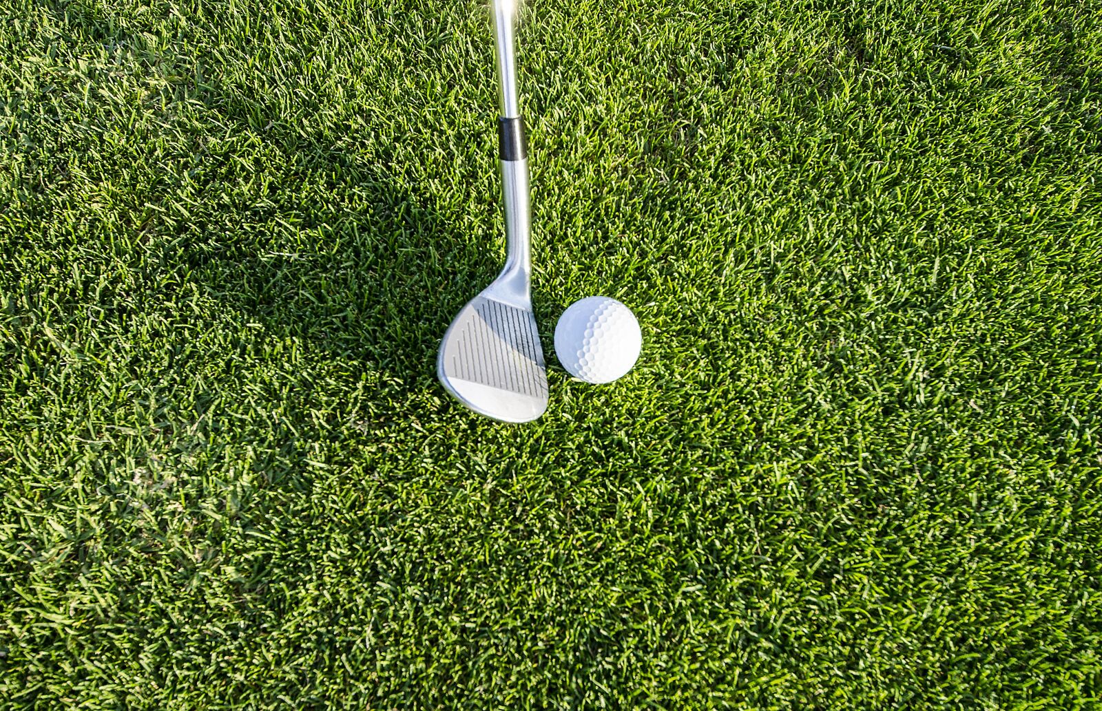 Nikon D5100 sample photo. Golf, grass, green photography
