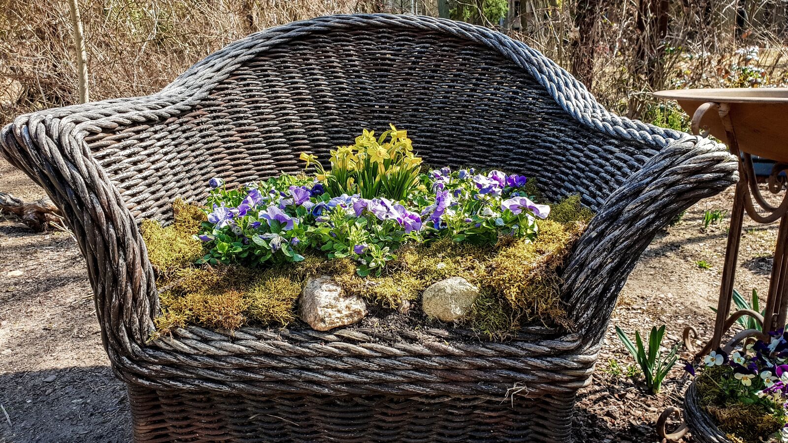 Samsung Galaxy S9 sample photo. Garden, plant, nature photography