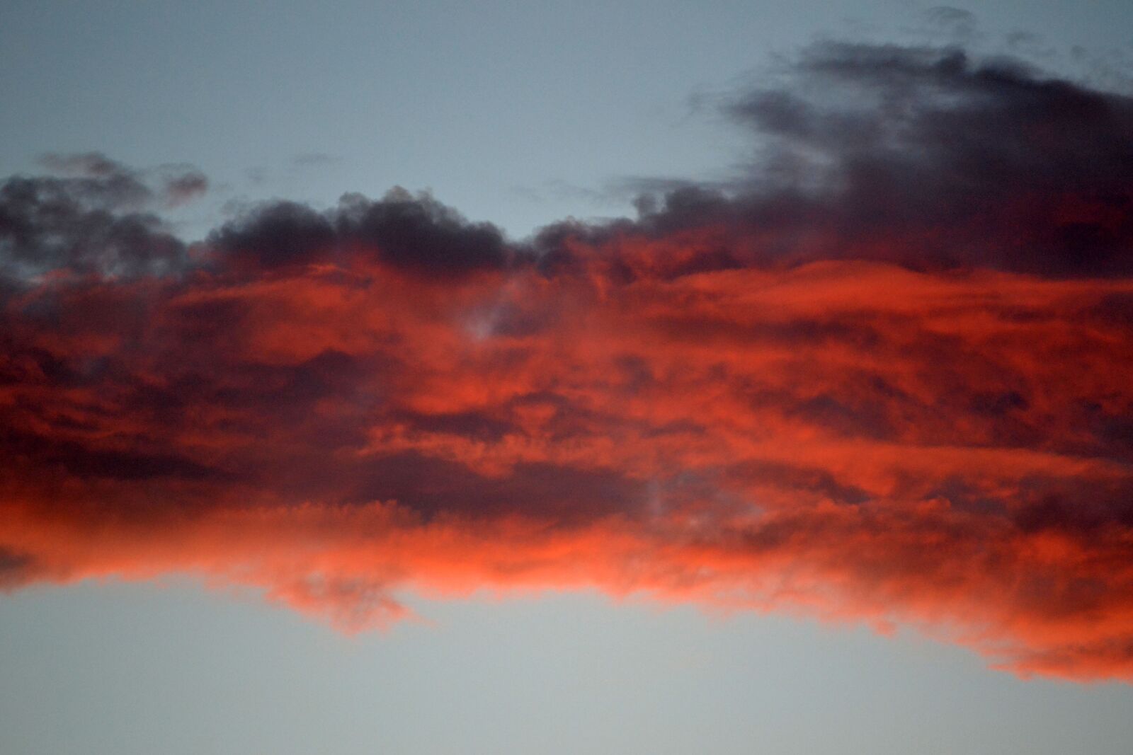 Nikon D3100 sample photo. Clouds, red, sky photography