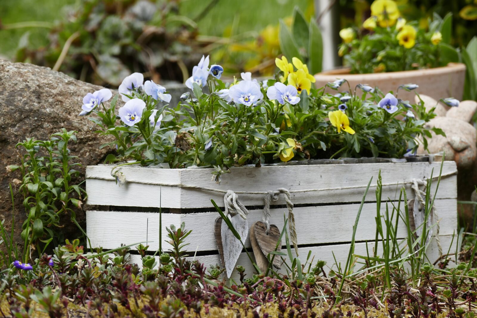 Panasonic Lumix DMC-FZ1000 sample photo. 400–500, garden, flower box photography