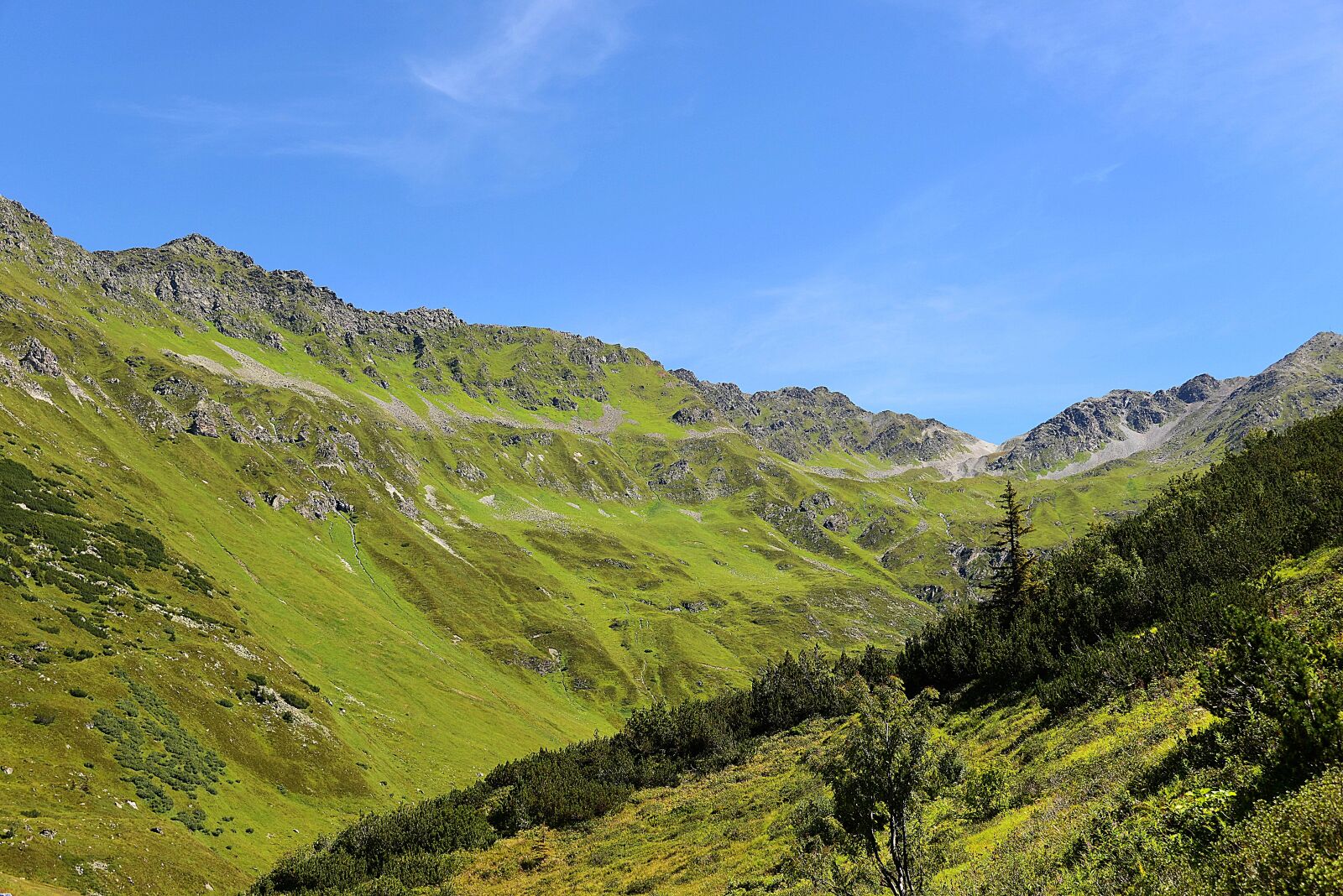 Nikon D610 sample photo. Kaunertal, mountain meadow, tyrol photography
