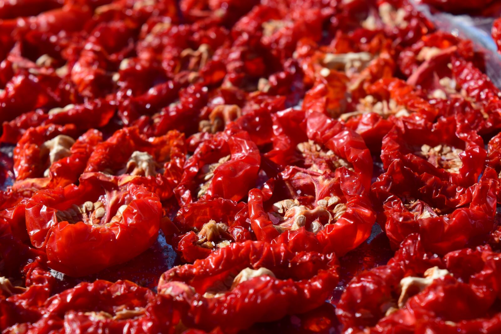 Nikon D3300 sample photo. Tomatoes, dried tomatoes, food photography