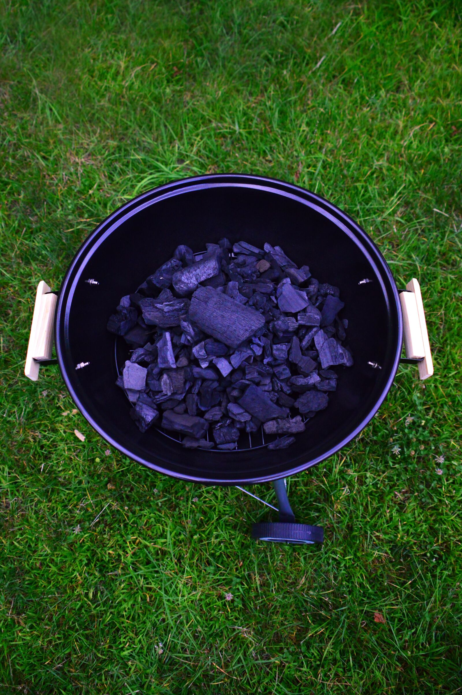 Nikon D3200 sample photo. Charcoal, garden party, baking photography