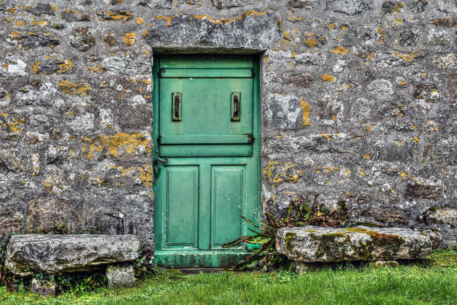 Nikon D500 sample photo. Door, green, old photography