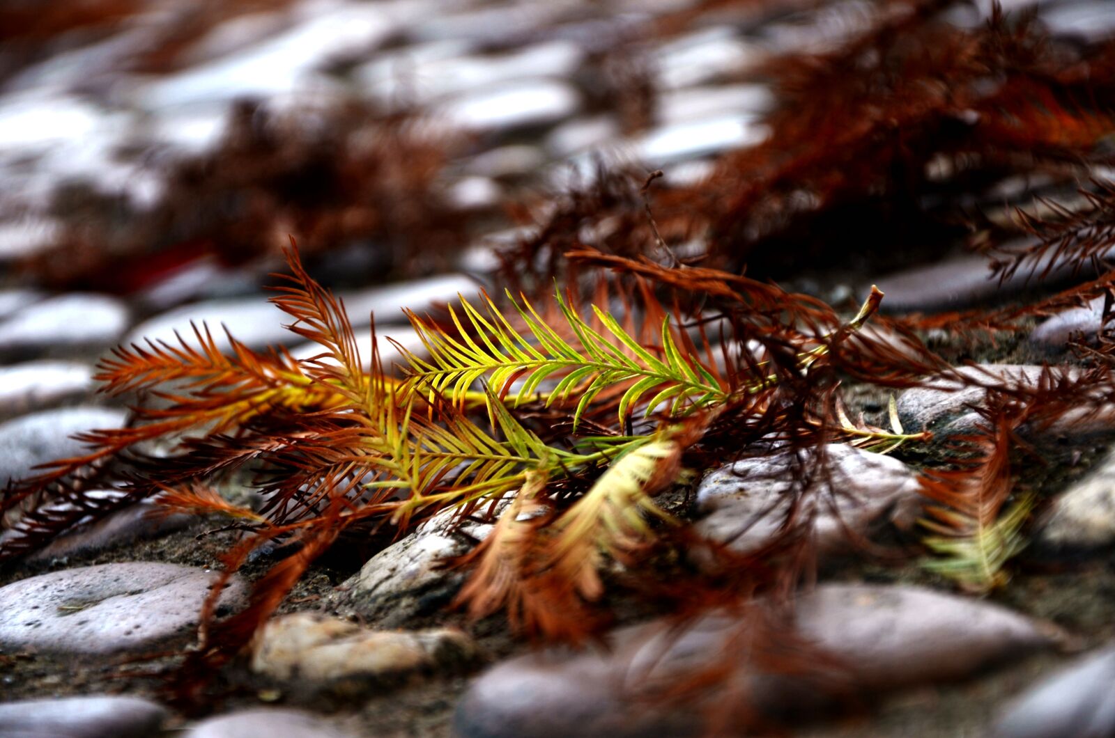 Nikon D7000 sample photo. Luhu, small north, sky photography