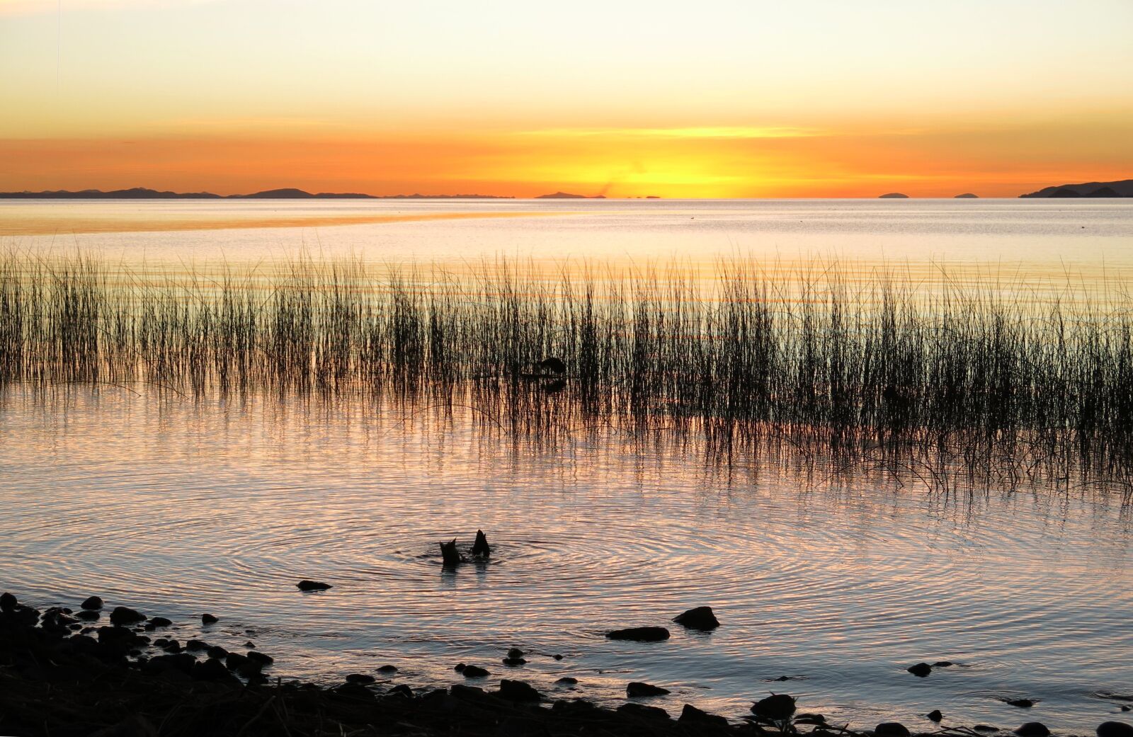 Canon PowerShot G15 sample photo. Abendstimmung, lake, lake titicaca photography