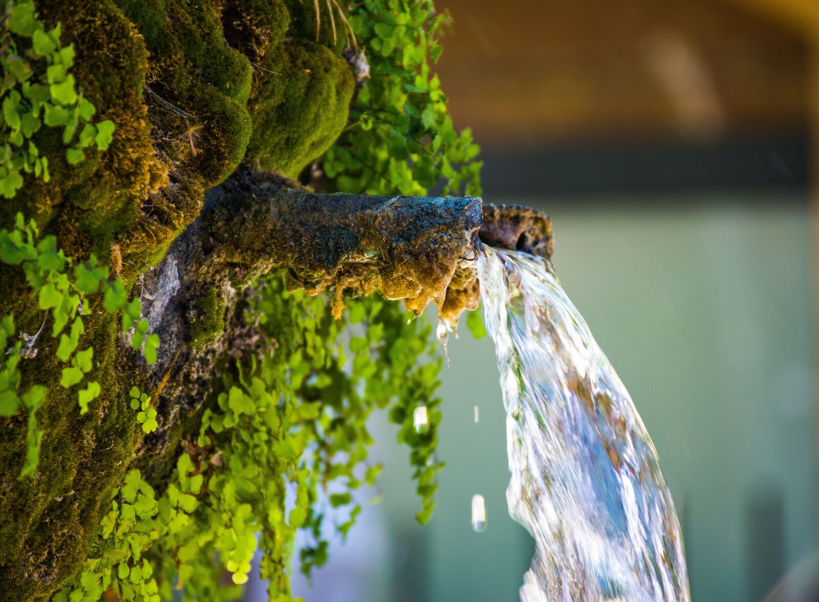 Nikon D5600 sample photo. Aix-en-provence, fountainhead, old fountain photography