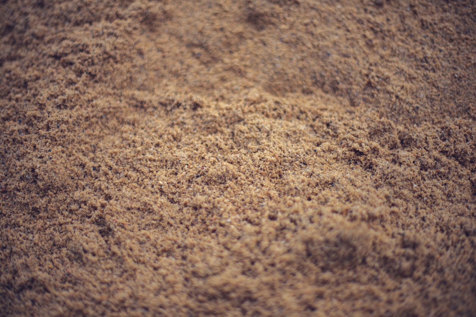Nikon D610 sample photo. Sand, closeup, beach photography