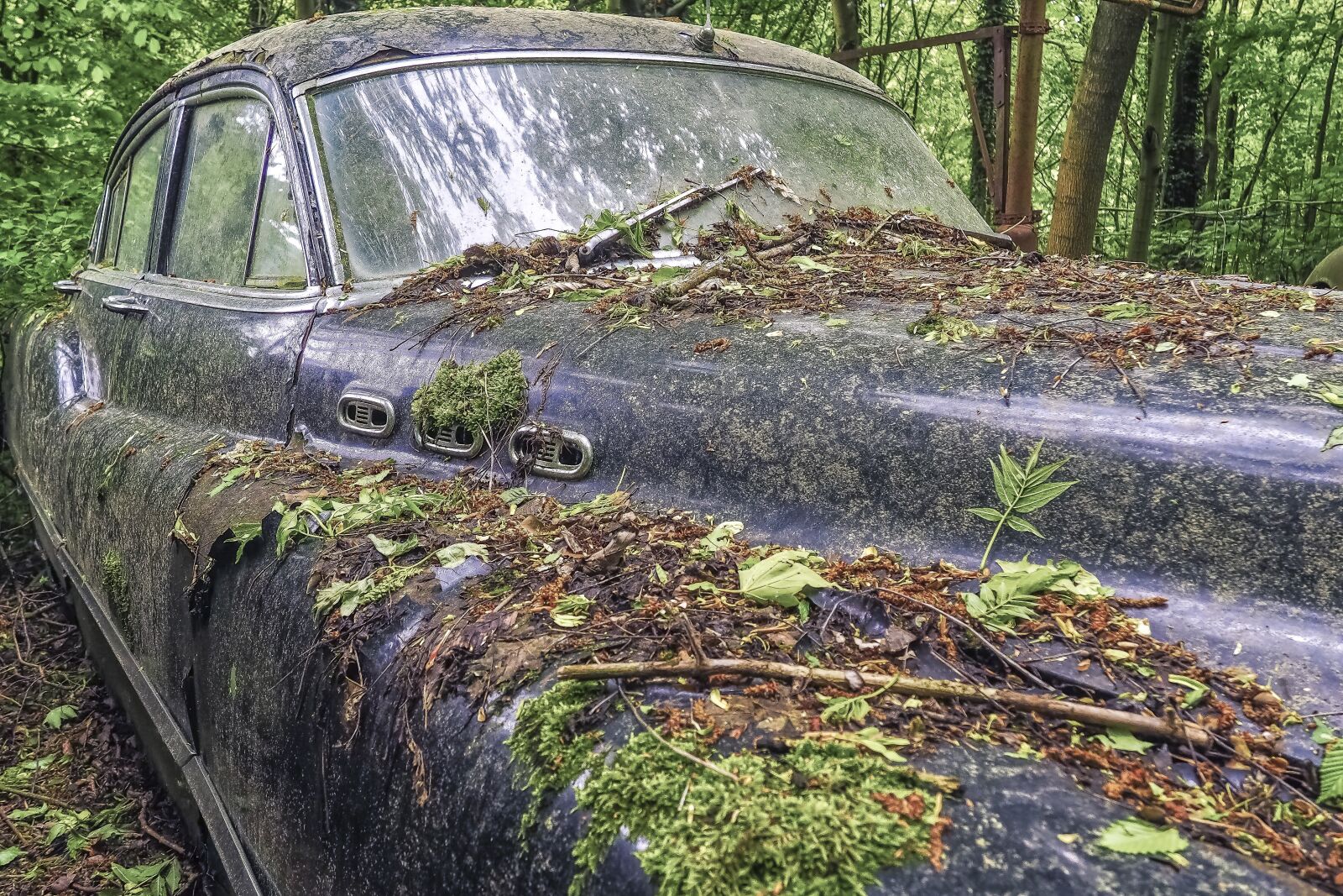 Olympus OM-D E-M10 sample photo. Auto, car cemetery, oldtimer photography