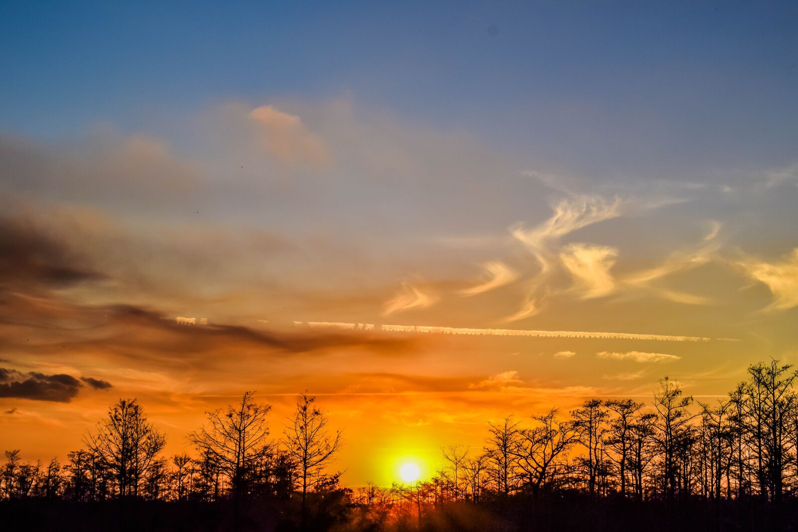 Nikon D5300 sample photo. Sunset, everglades, landscape photography