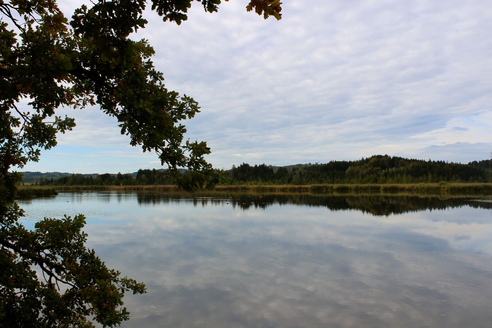 Canon EOS 1300D (EOS Rebel T6 / EOS Kiss X80) sample photo. Lake, brine, autumn photography
