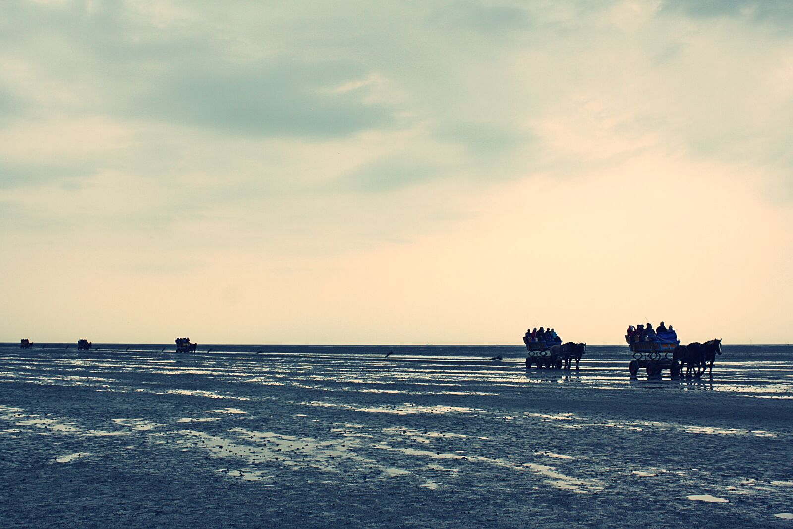 Canon EOS 1000D (EOS Digital Rebel XS / EOS Kiss F) sample photo. North sea, cuxhaven, wadden photography