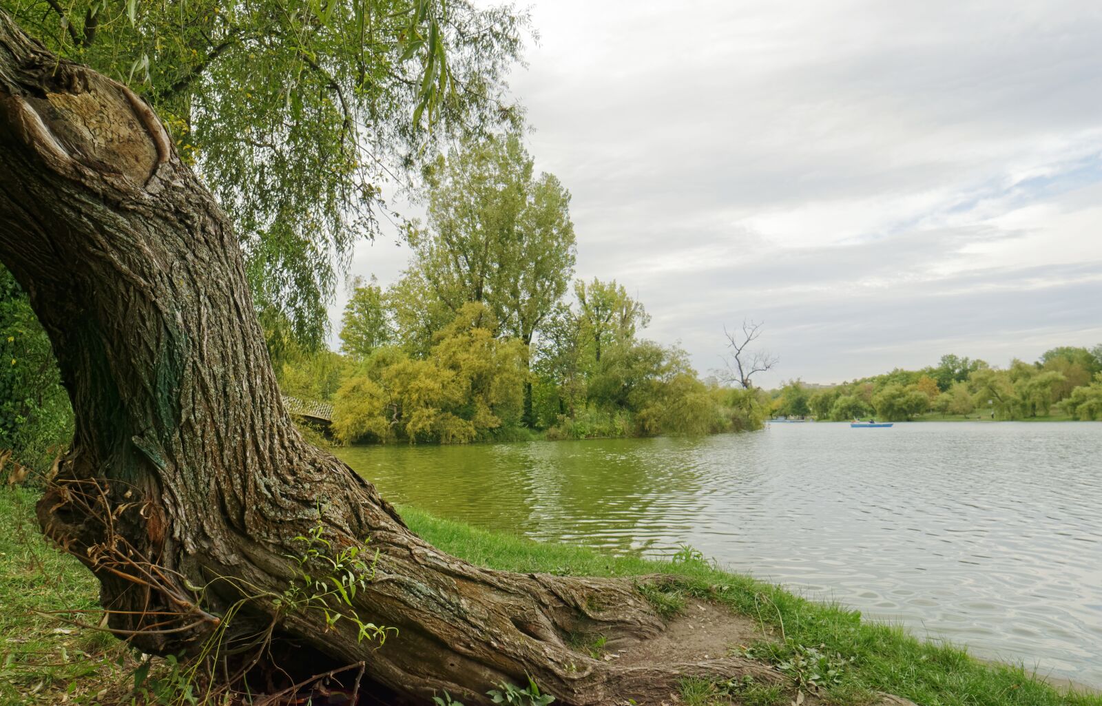 Nikon D5300 sample photo. Landscape, lake, trees photography
