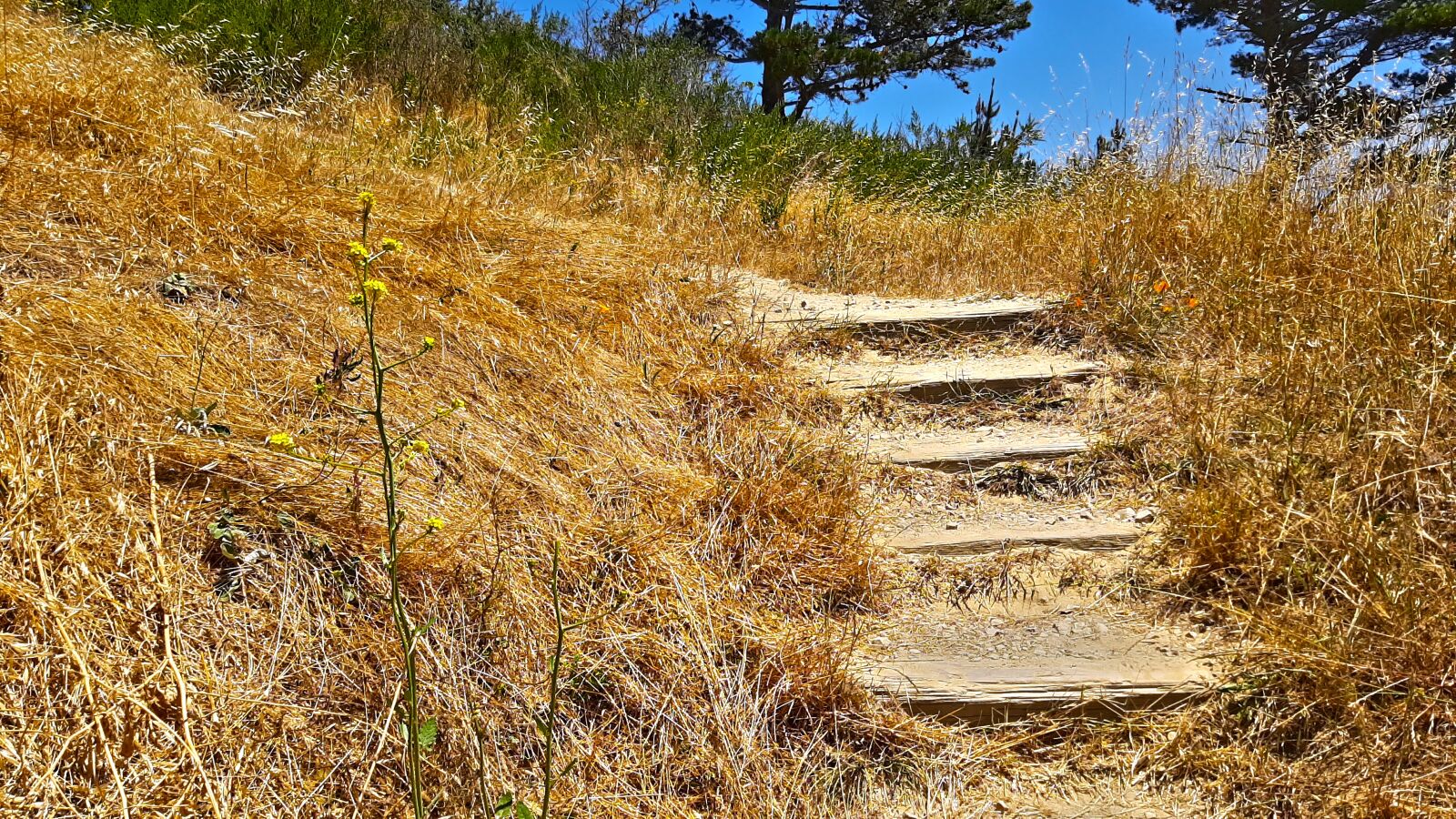Samsung Galaxy A50 sample photo. Wooden steps, place, pathway photography