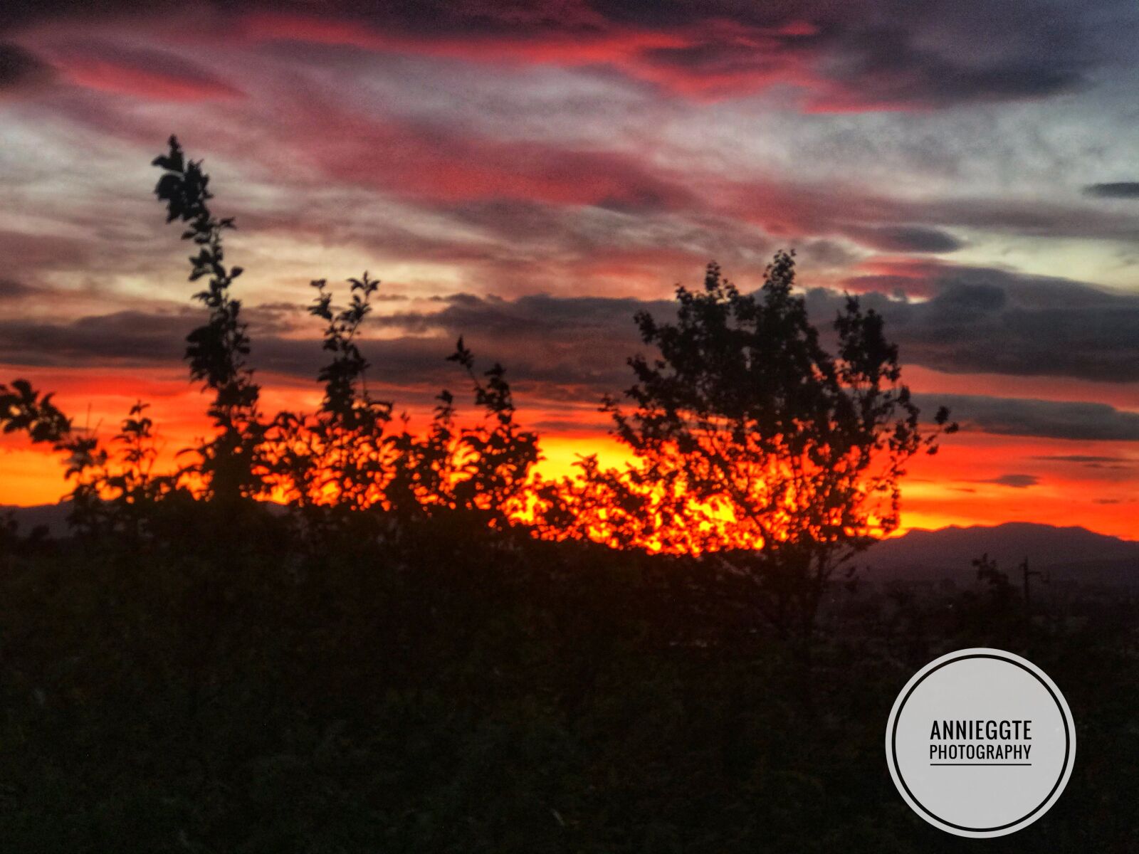 Apple iPhone 7 Plus sample photo. Sun, nature, sunset photography