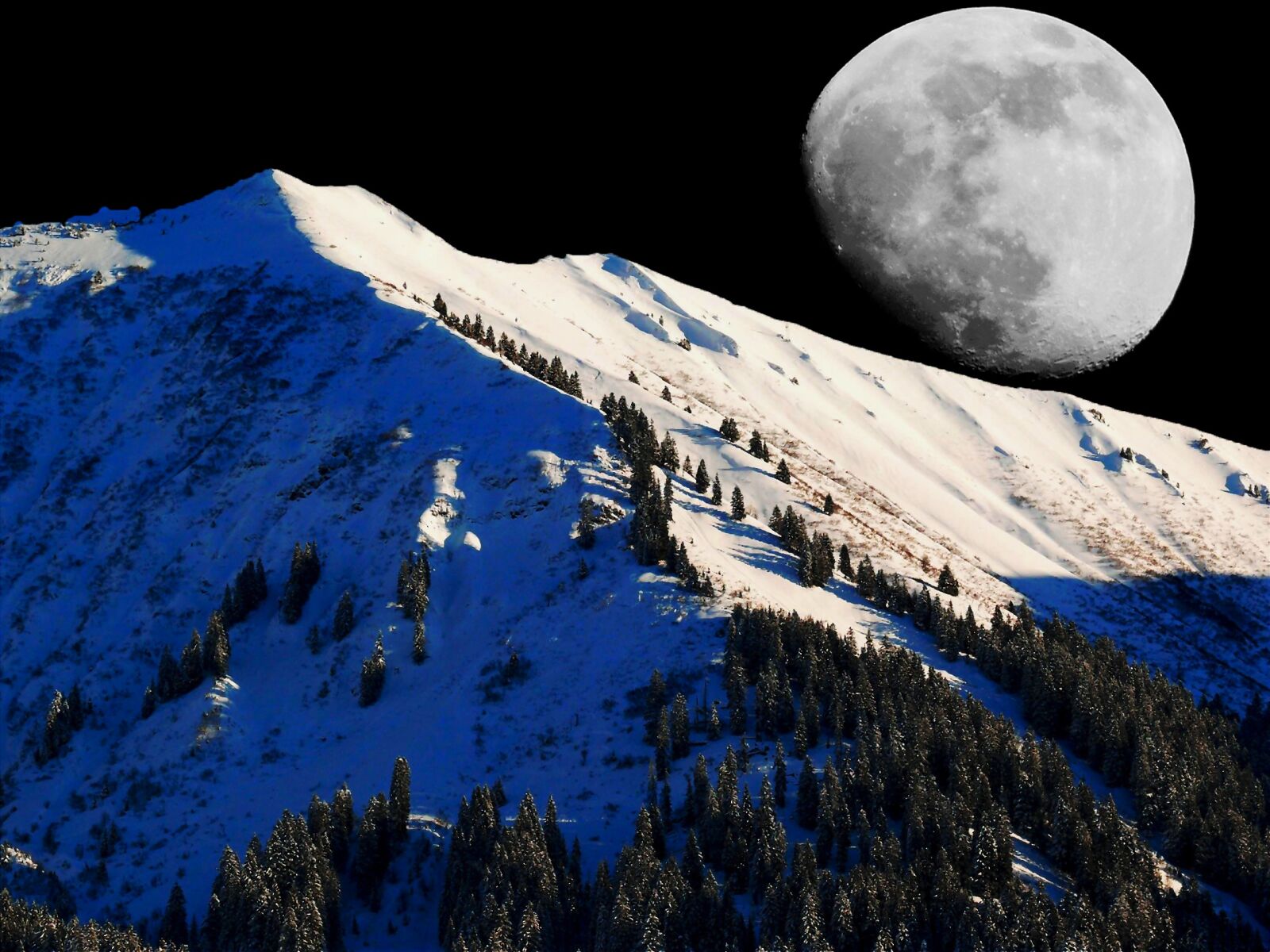 Leica V-LUX 1 sample photo. Winter, moon, snow photography