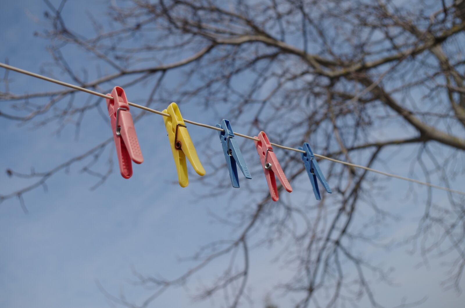 Pentax K-500 sample photo. Pegs, clothes, color photography