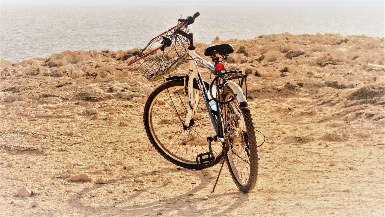 Canon PowerShot SX400 IS sample photo. Bicycle, nature, bike photography